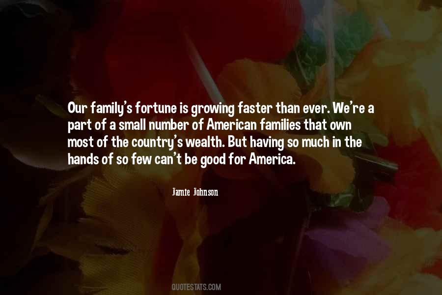 My Family Is My Wealth Quotes #212511