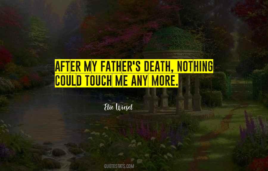 My Father Death Quotes #324592