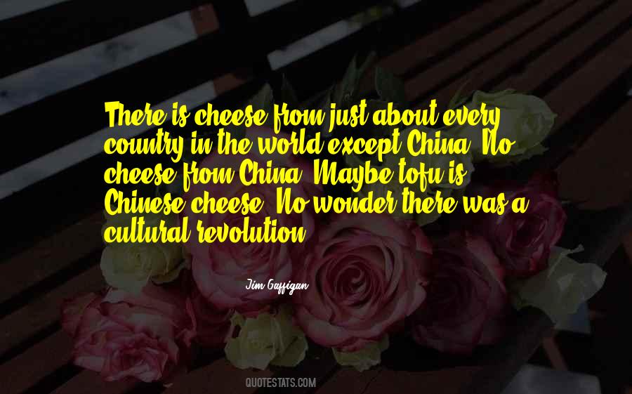 Quotes About Chinese Cultural Revolution #1853237