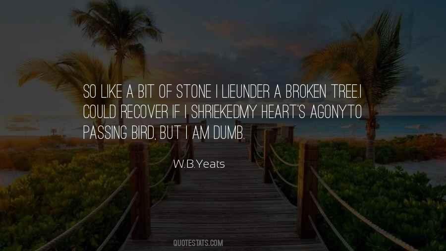 My Heart Is Like Stone Quotes #1528202