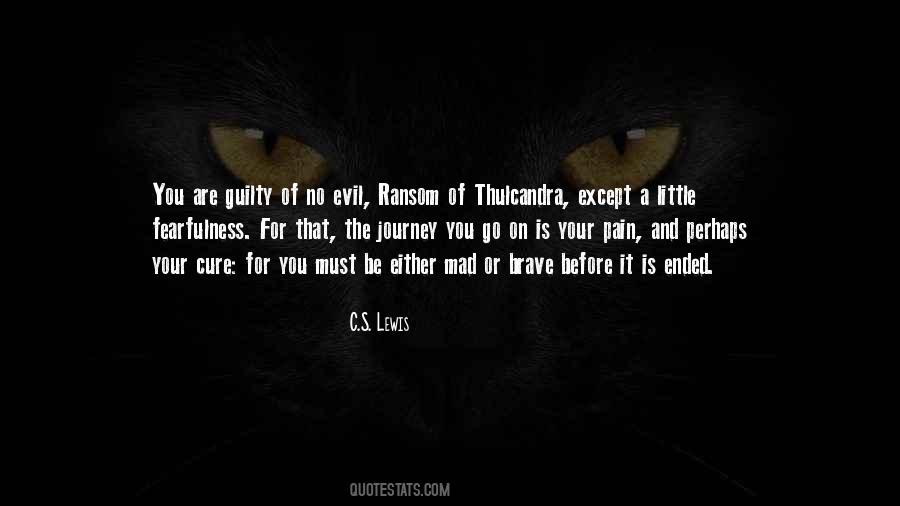 My Journey Has Ended Quotes #1653934