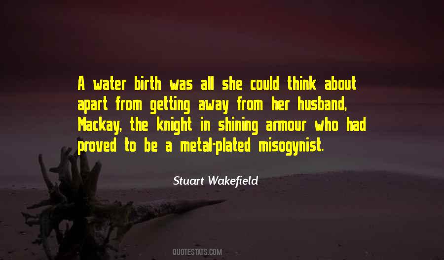 My Knight In Shining Armour Quotes #1080191