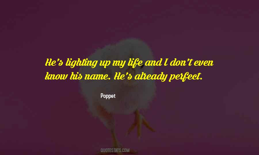 My Life Is Not Perfect Quotes #29954