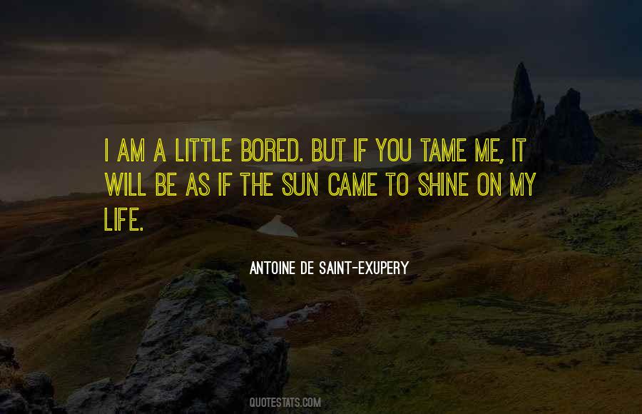 My Little Life Quotes #95307