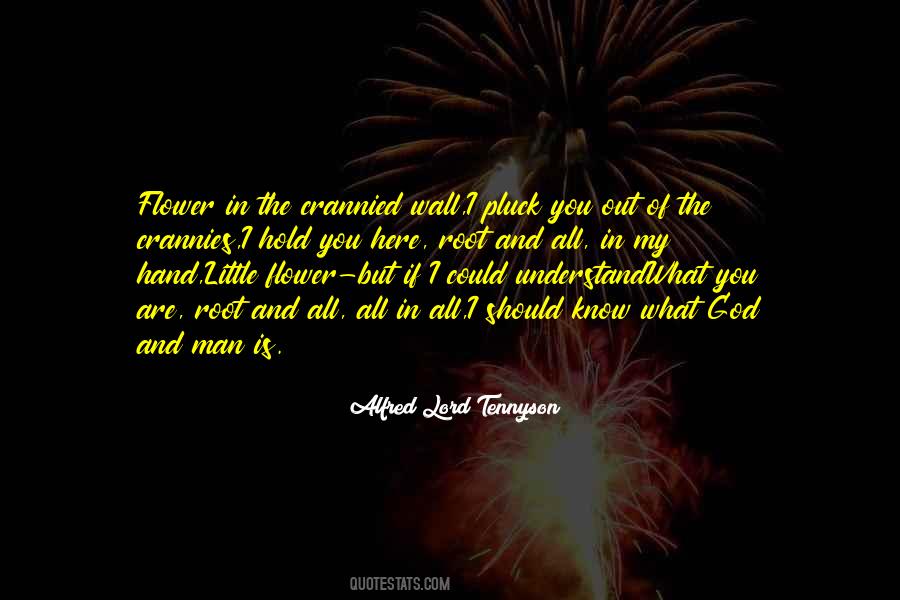 My Little Man Quotes #992772