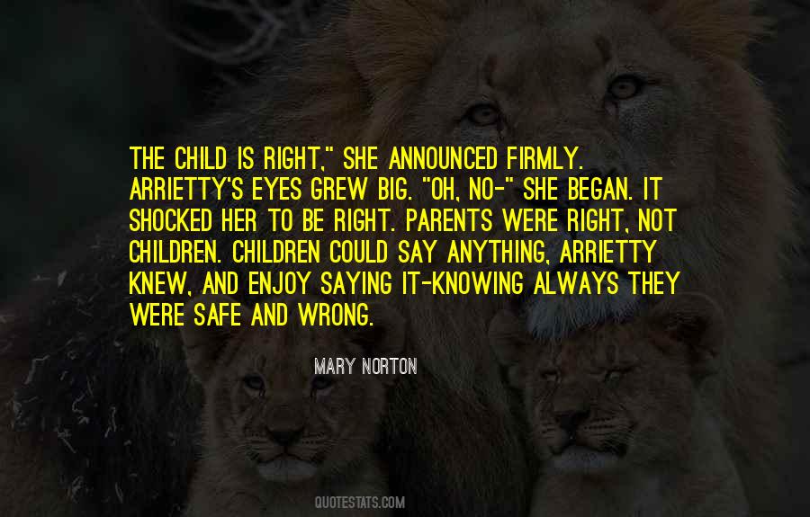 Quotes About Child Trauma #506894