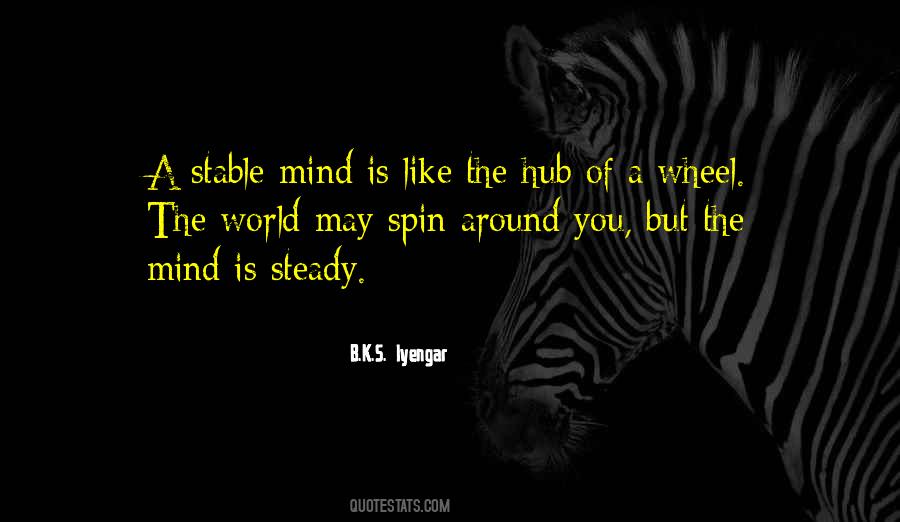 My Mind Is Not Stable Quotes #916960