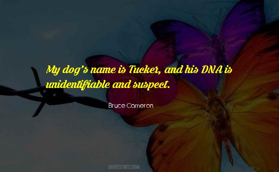 My Name Is Bruce Quotes #93059