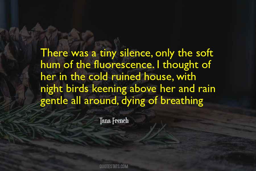 My Night Is Ruined Quotes #879388