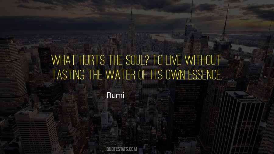 My Soul Is Hurt Quotes #278080