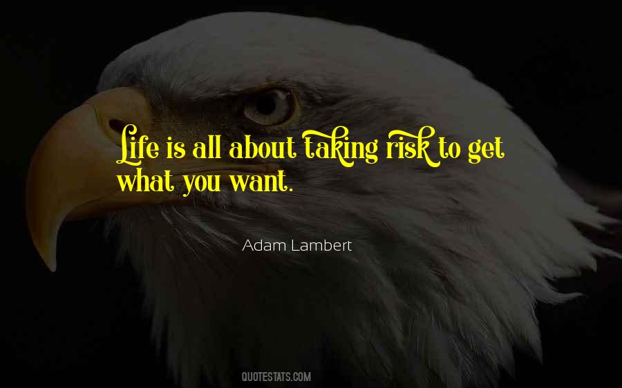 Quotes About Taking Risk In Life #648386