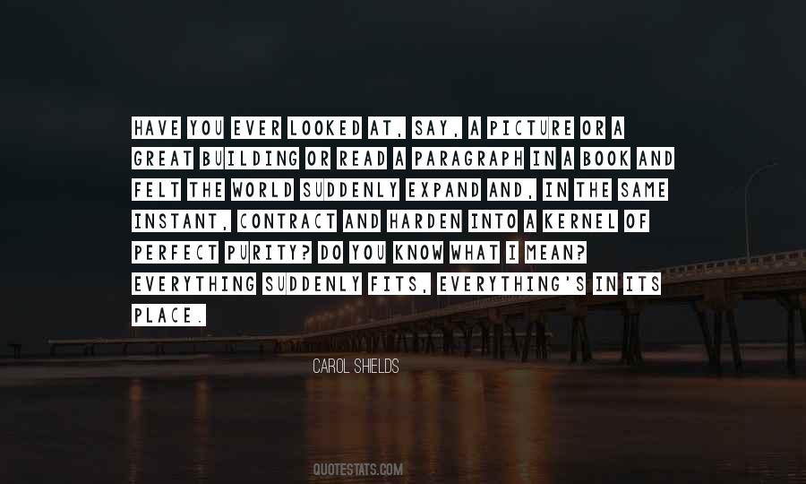 My World In One Picture Quotes #809251