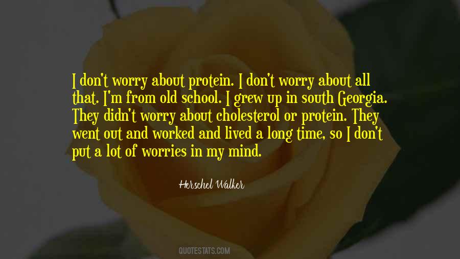 My Worries Quotes #290821