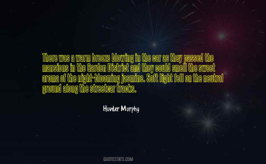 Mystery Of Night Quotes #1617835