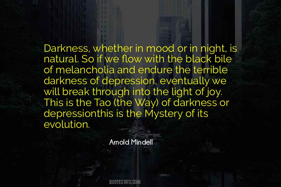 Mystery Of Night Quotes #1722155