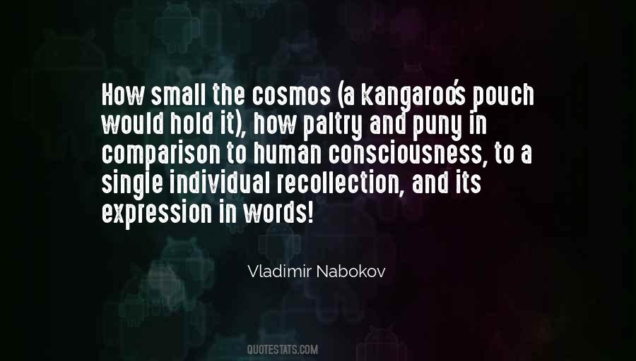 Nabokov Vladimir Quotes #102739