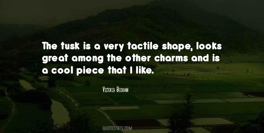 Quotes About Charms #1334612