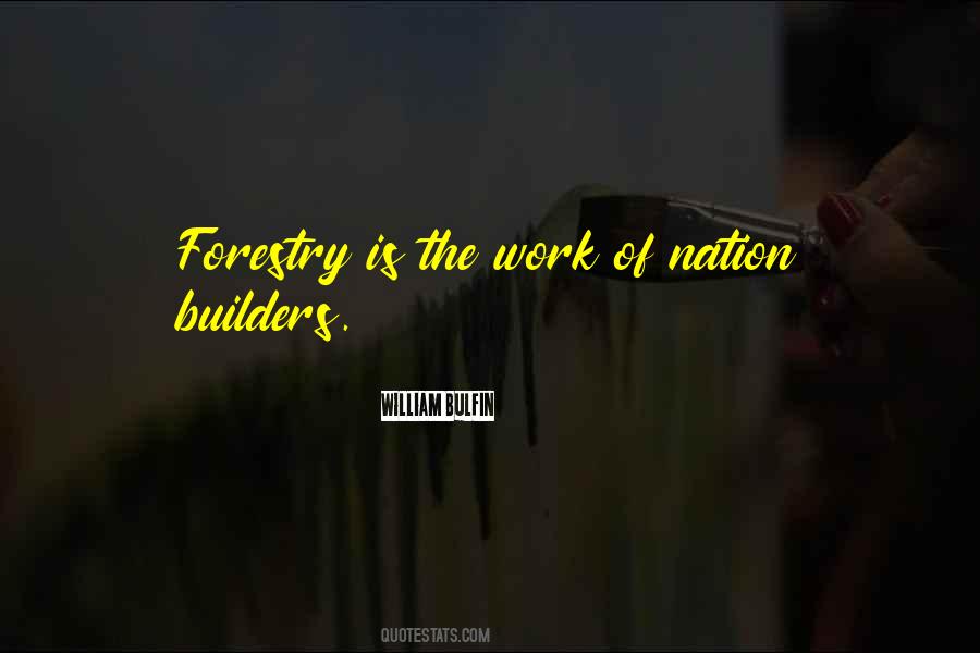 Nation Builder Quotes #1403722