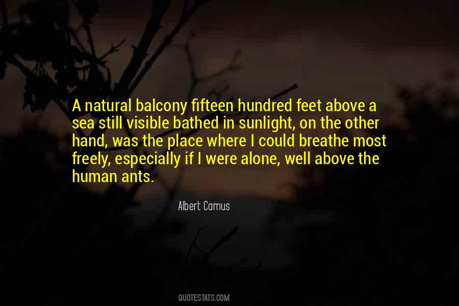Natural Sunlight Quotes #354191