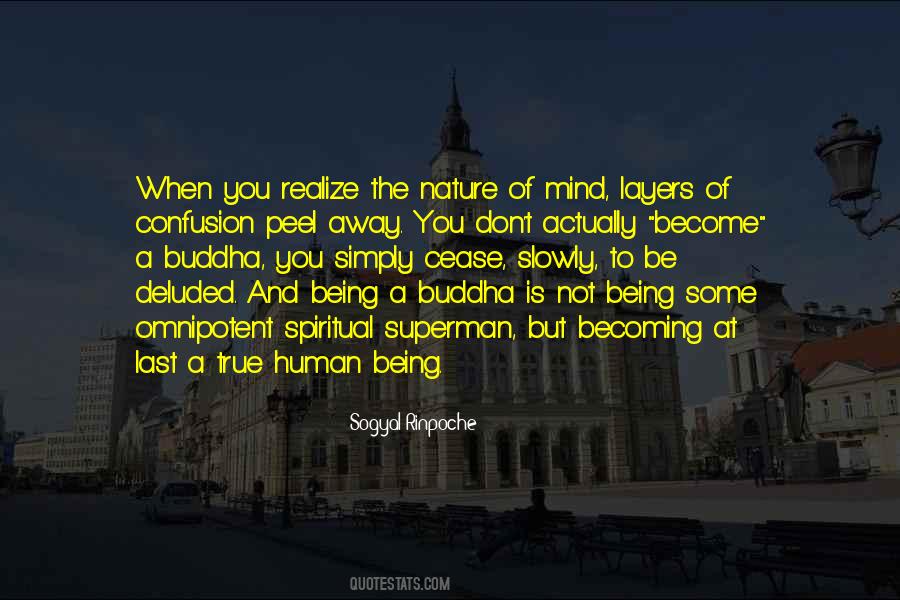 Nature And Spiritual Quotes #651947