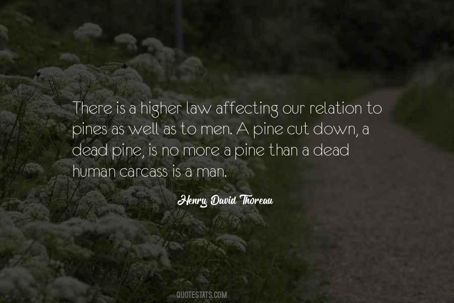 Nature Law Quotes #31033