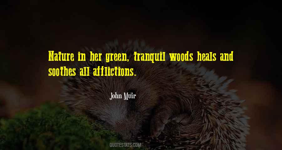 Nature Soothes Quotes #1676734