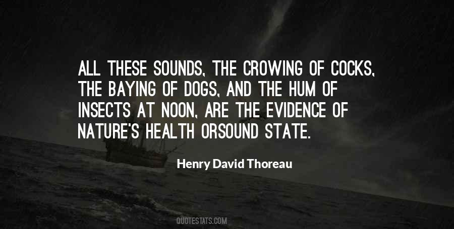 Nature Sounds Quotes #485798