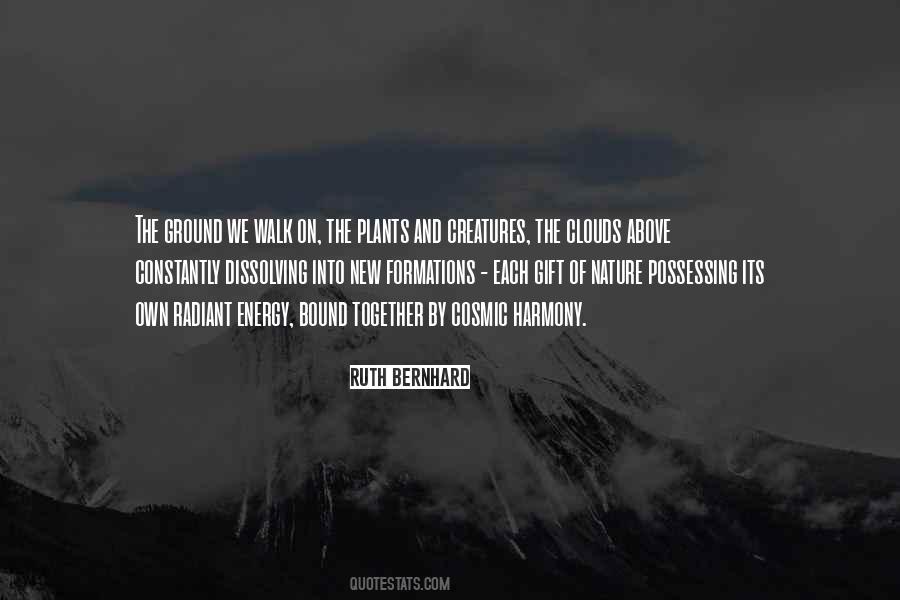 Nature Walk Quotes #498822
