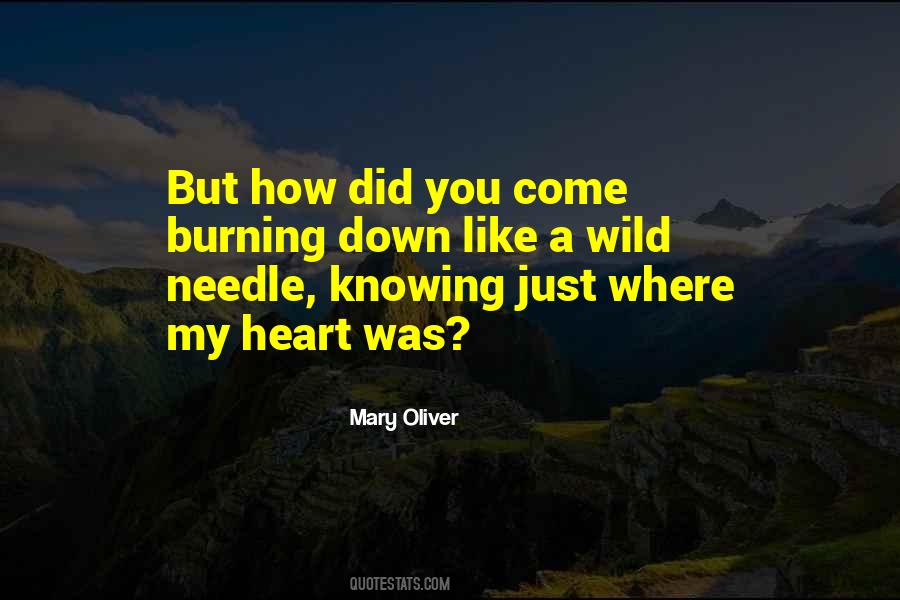 Near To The Wild Heart Quotes #820074