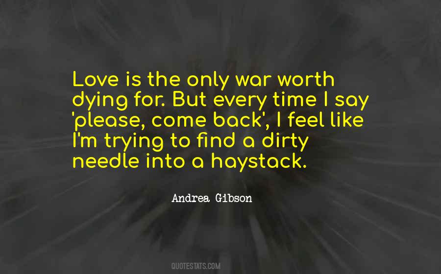 Needle In A Haystack Love Quotes #212920