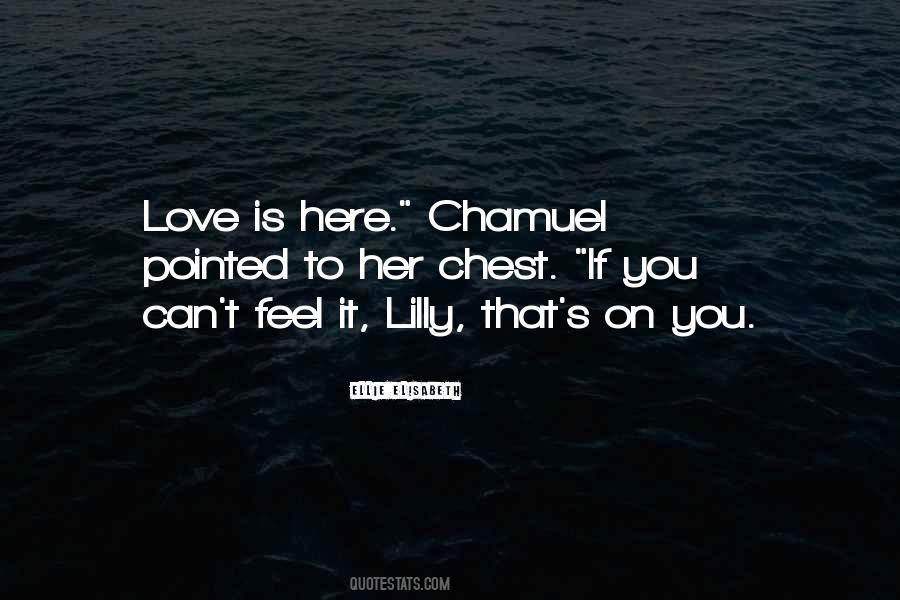 Quotes About Chamuel #486307