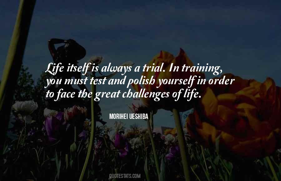Quotes About Challenges Of Life #519308