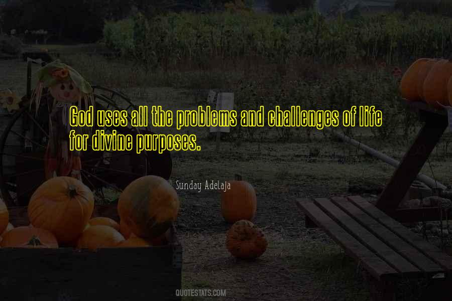 Quotes About Challenges Of Life #573073