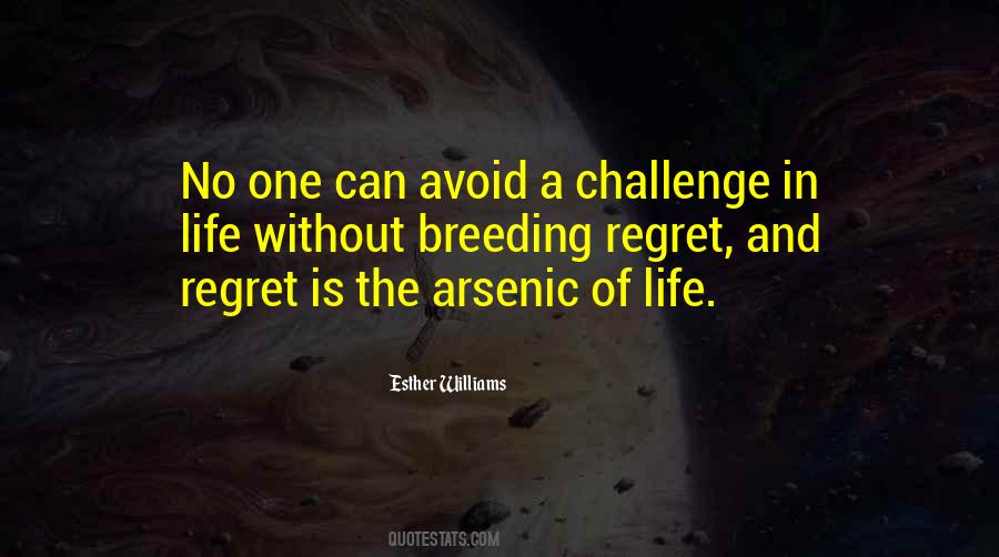 Quotes About Challenges Of Life #84027