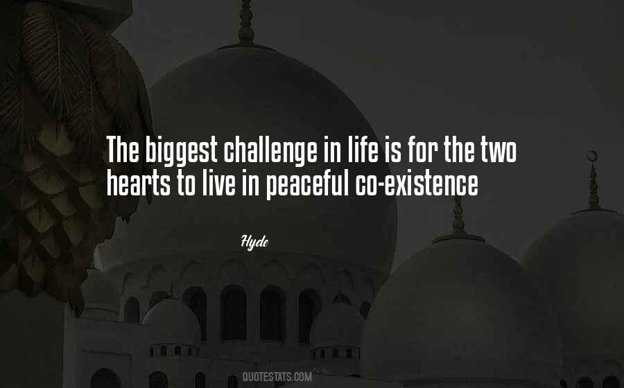 Quotes About Challenge In Life #501353