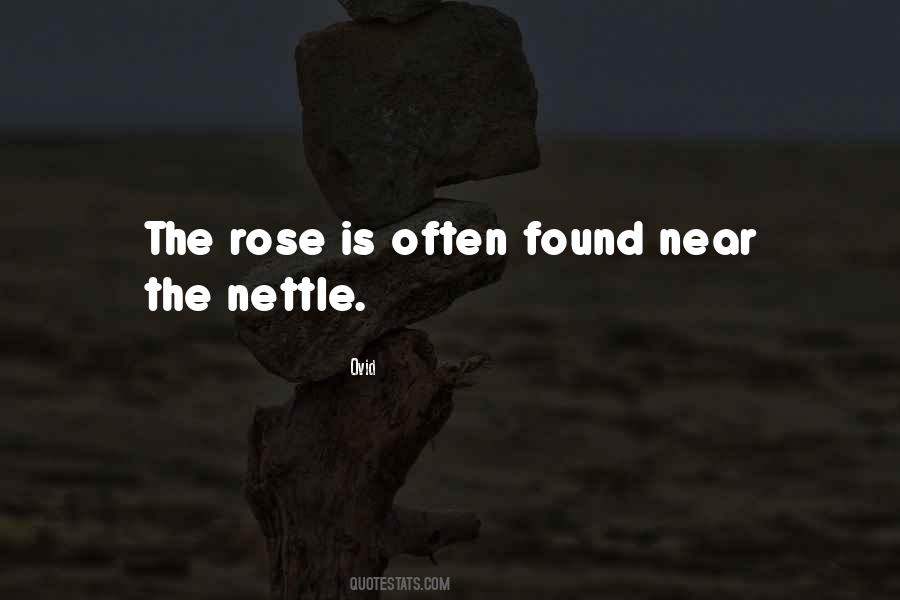 Nettle Quotes #1374723