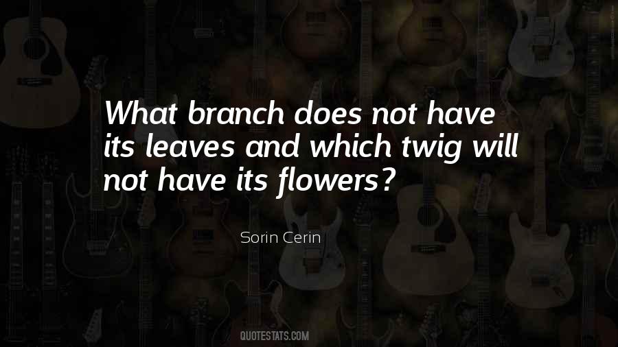 Quotes About Cerin #637080