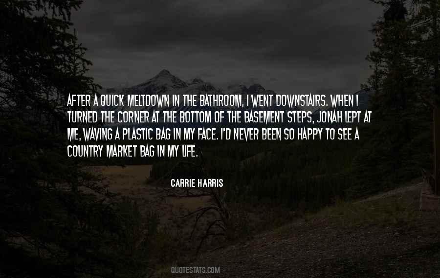 Never Been Happy Quotes #389964