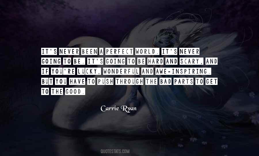 Never Been Perfect Quotes #1122015