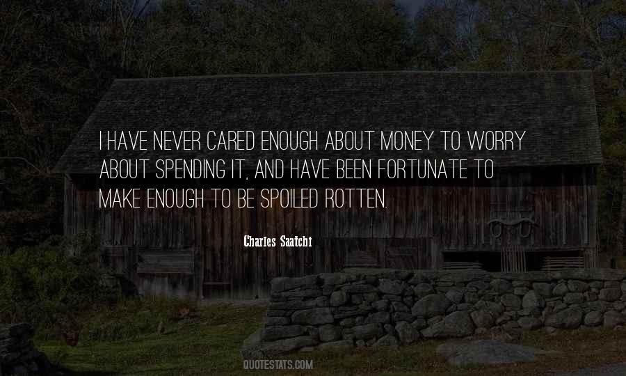 Never Cared Quotes #539987