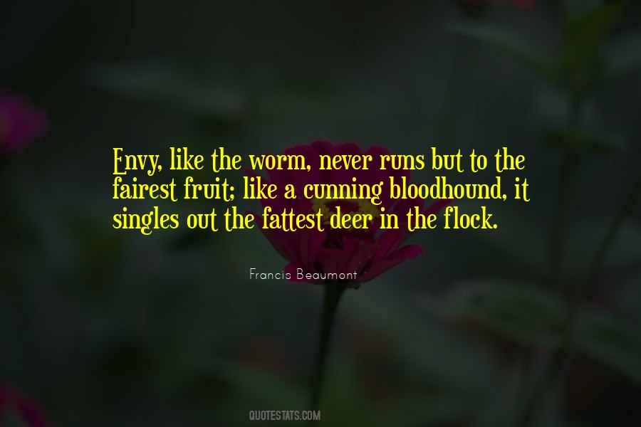 Never Envy Quotes #376001