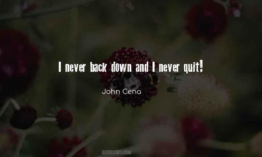 Never Ever Quit Quotes #91158