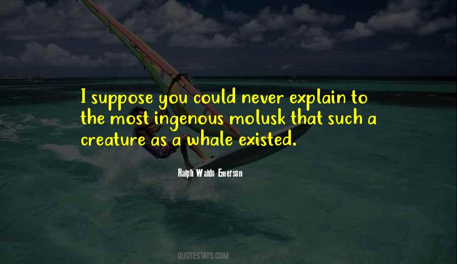 Never Explain Quotes #1159837