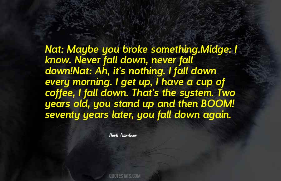 Never Fall Quotes #601120