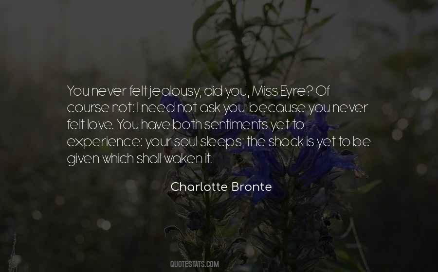 Never Felt Love Quotes #1321250