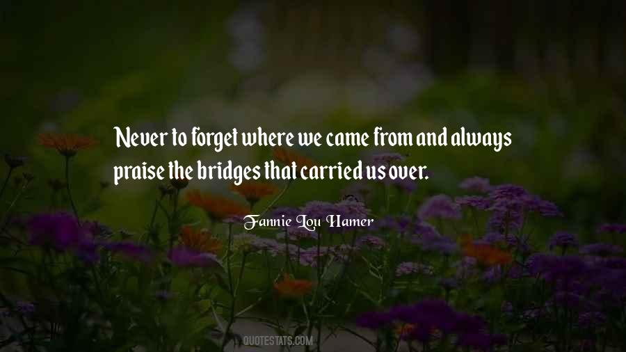 Never Forget Where We Came From Quotes #220718