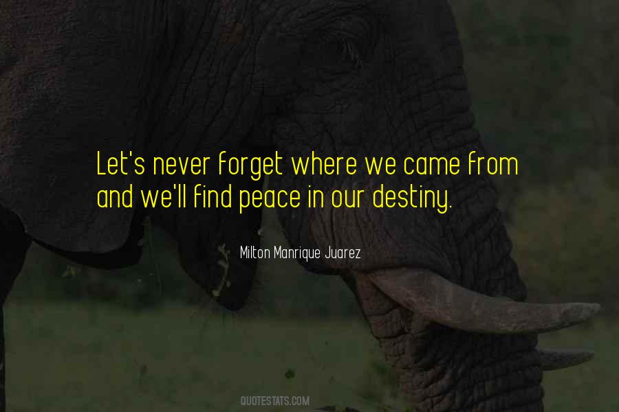 Never Forget Where You Came From Quotes #61034