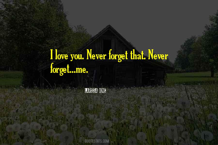Never Forget You Love Quotes #405765