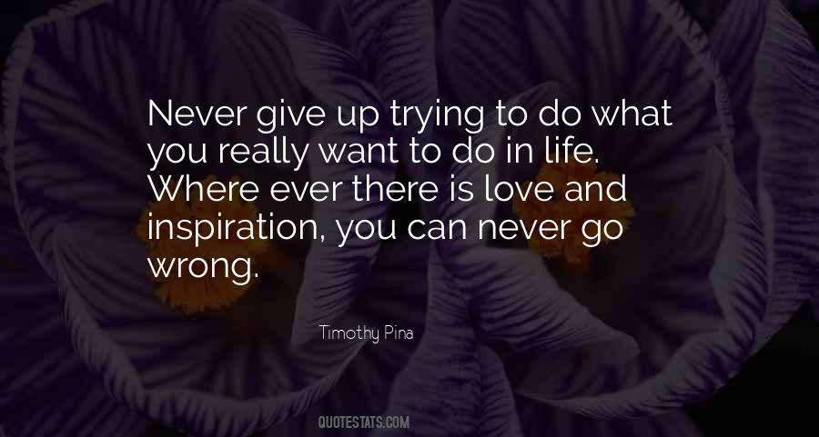 Never Give Up Trying Quotes #162731
