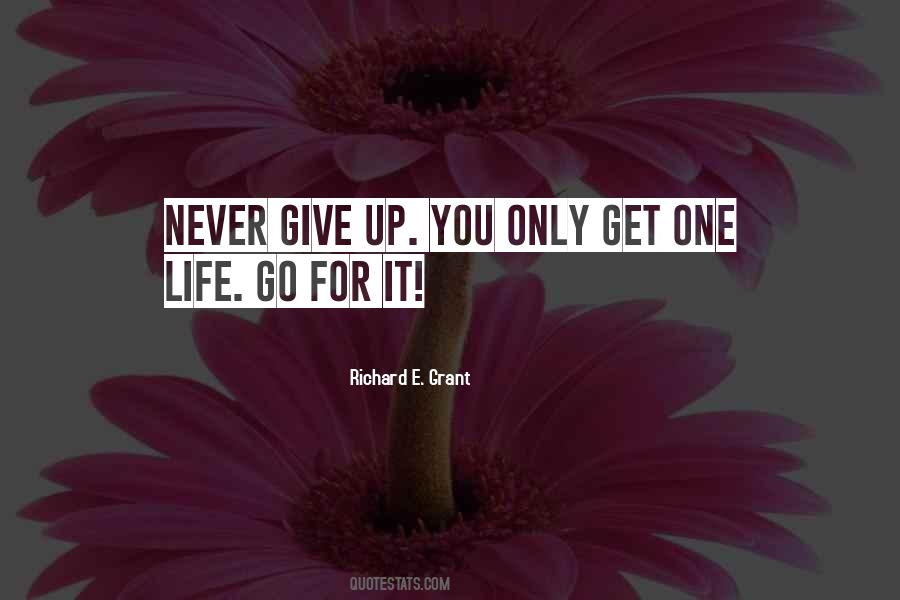 Never Give Up You Quotes #828824